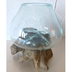 vase ou aquarium BA1