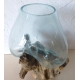 vase ou aquarium DA6