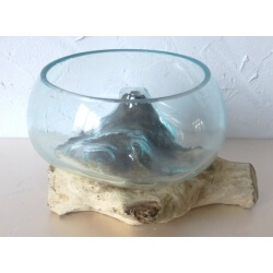 vase ou aquarium évasé TER4
