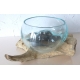 vase ou aquarium évasé TER8