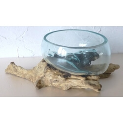 vase ou aquarium évasé TER11