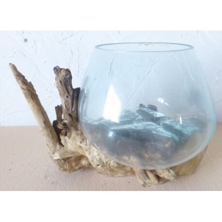 vase ou aquarium CA36