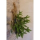 vase ou aquarium mural exemple