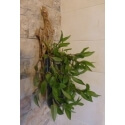 vase ou aquarium mural exemple