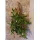 vase ou aquarium mural exemple