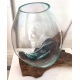 vase ou aquarium DA32-28cm
