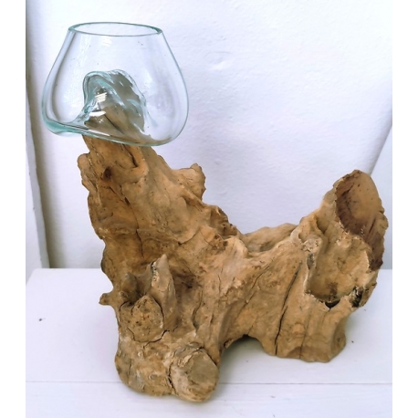 Vaso o acuario B1