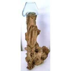 vase ou aquarium B2