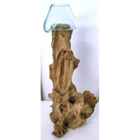 vase ou aquarium B2