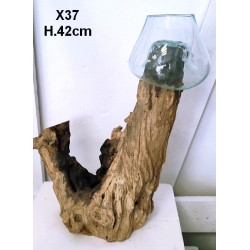 vase ou aquarium X37