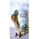 Double vase et terrarium 9-12