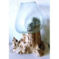 vase ou aquarium XX7A