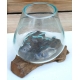 vase ou aquarium SM32