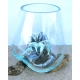 vase ou aquarium MM10