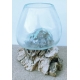 Vaso o acuario BA16