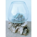 Vaso o acuario BA16