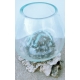 vase ou aquarium BA16