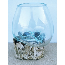 vase ou aquarium AA3