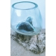 vase ou aquarium AA5