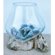 vase ou aquarium AA10