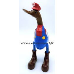canard Mario