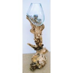 vase ou aquarium P1
