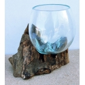 vase ou aquarium P15