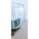 vase ou aquarium P15