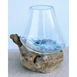 vase ou aquarium P18