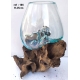 vase ou aquarium 186