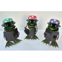 grenouille en fer