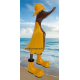 canard ciré de pluie