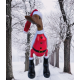 canard père noël