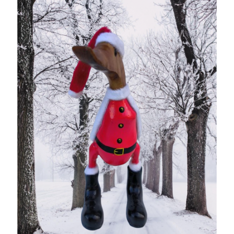 canard père noël