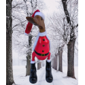 canard père noël