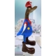 canard Mario