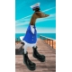 canard capitaine