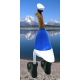 canard capitaine