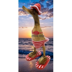 canard beach bikini rouge