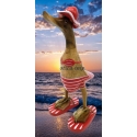 canard beach bikini rouge