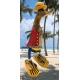 canard luffy one piece