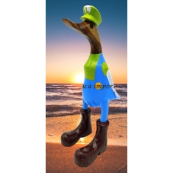 canard Luigi