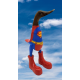 canard super
