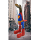 canard super