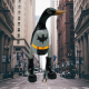 bat canard