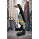 bat canard