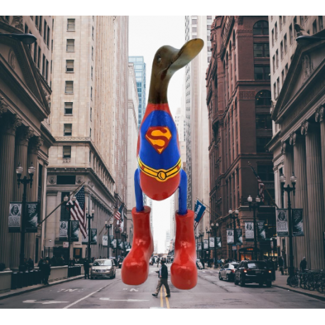 canard super