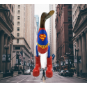 canard super