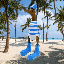 canard marin bleu