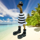 canard marin noir